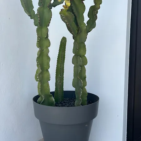 Sombra De Guanapay Lägenhet *