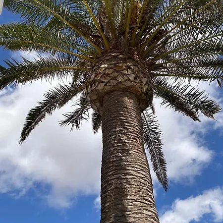 Sombra De Guanapay Lägenhet