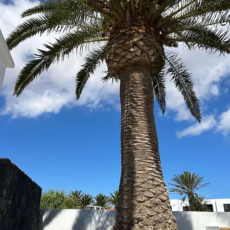 Lägenhet Sombra De Guanapay Teguise (Lanzarote)