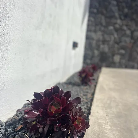 Lägenhet Sombra De Guanapay Teguise (Lanzarote)